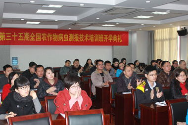 技术推广服务中心 驱动创新与发展的核心引擎