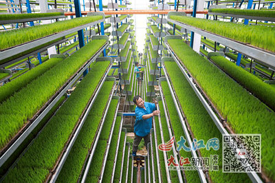 兴农·富民 技术推广服务的引擎与桥梁